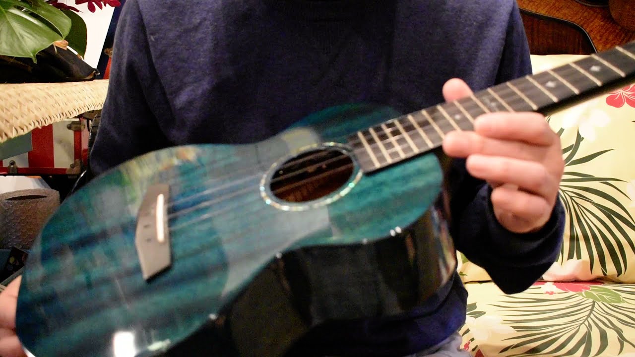 USED/Enya EUT-MAD w/PU Tenor@ukuleleshoptantan