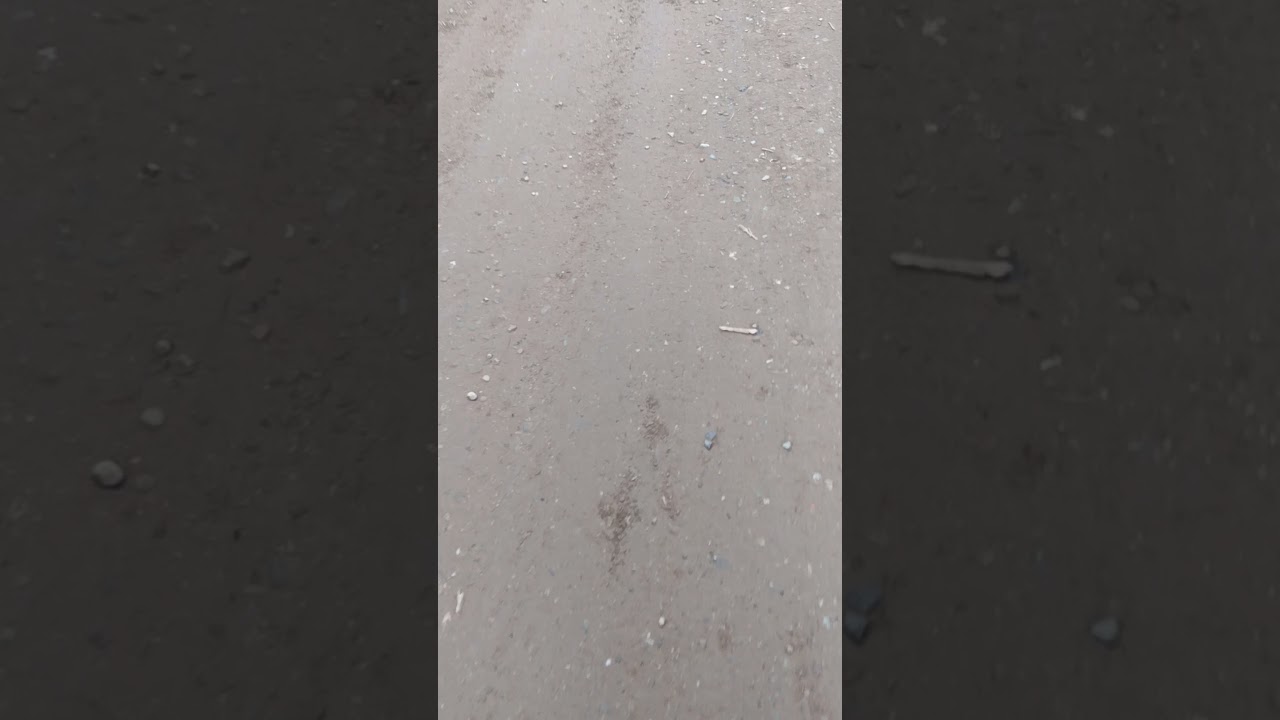 Footprints upnorth #Dogman #Sasquatch