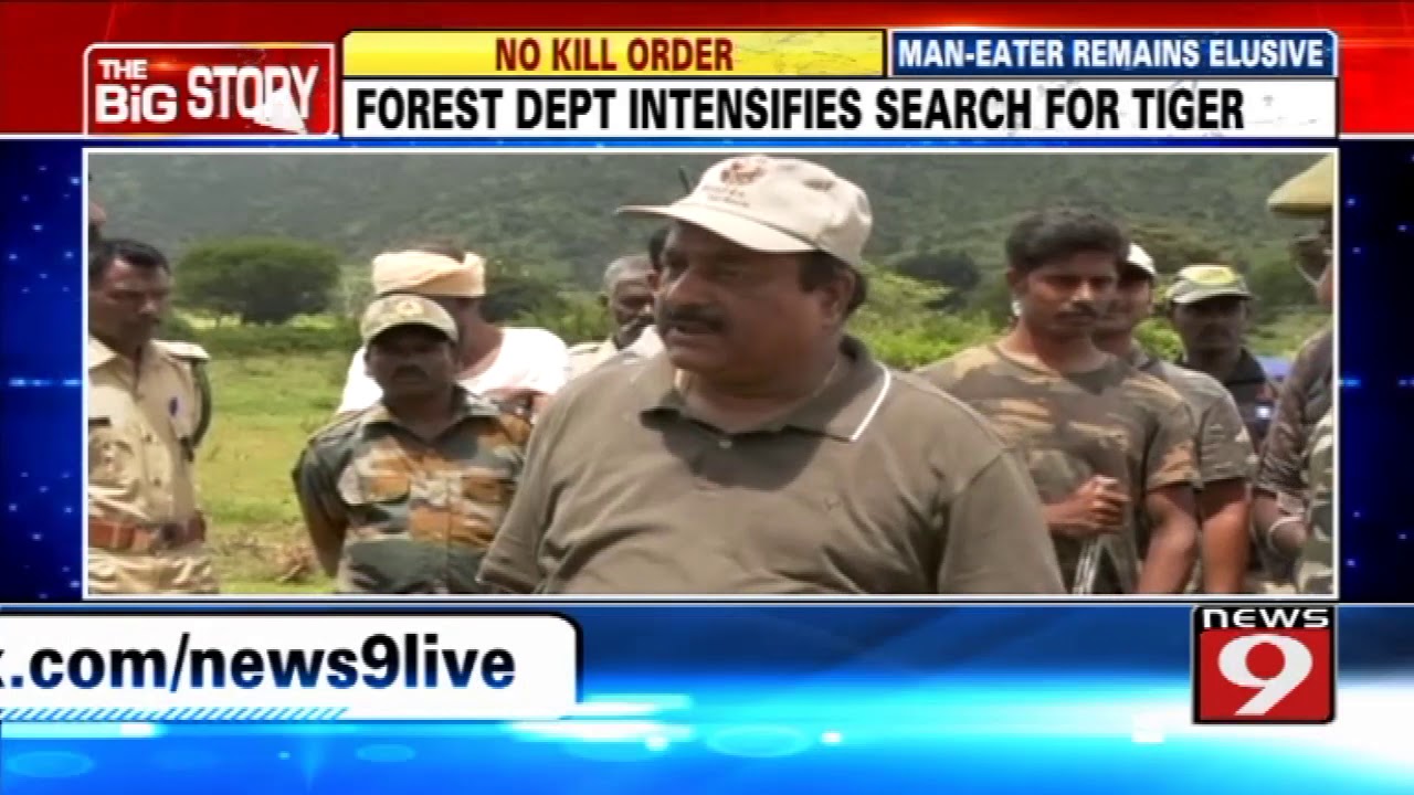 Forest Department intensifies search for tiger