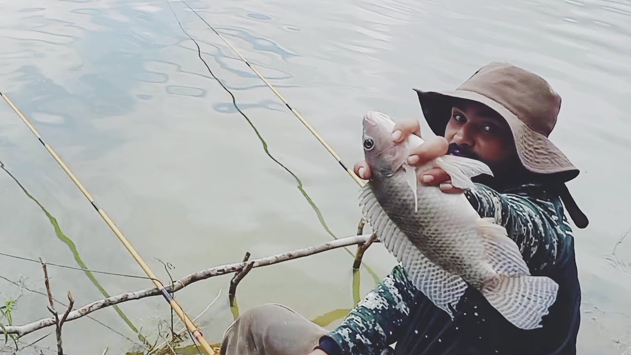 Pesca de tilapias selvagens é outro nível. Teve varinha que não aguentou .