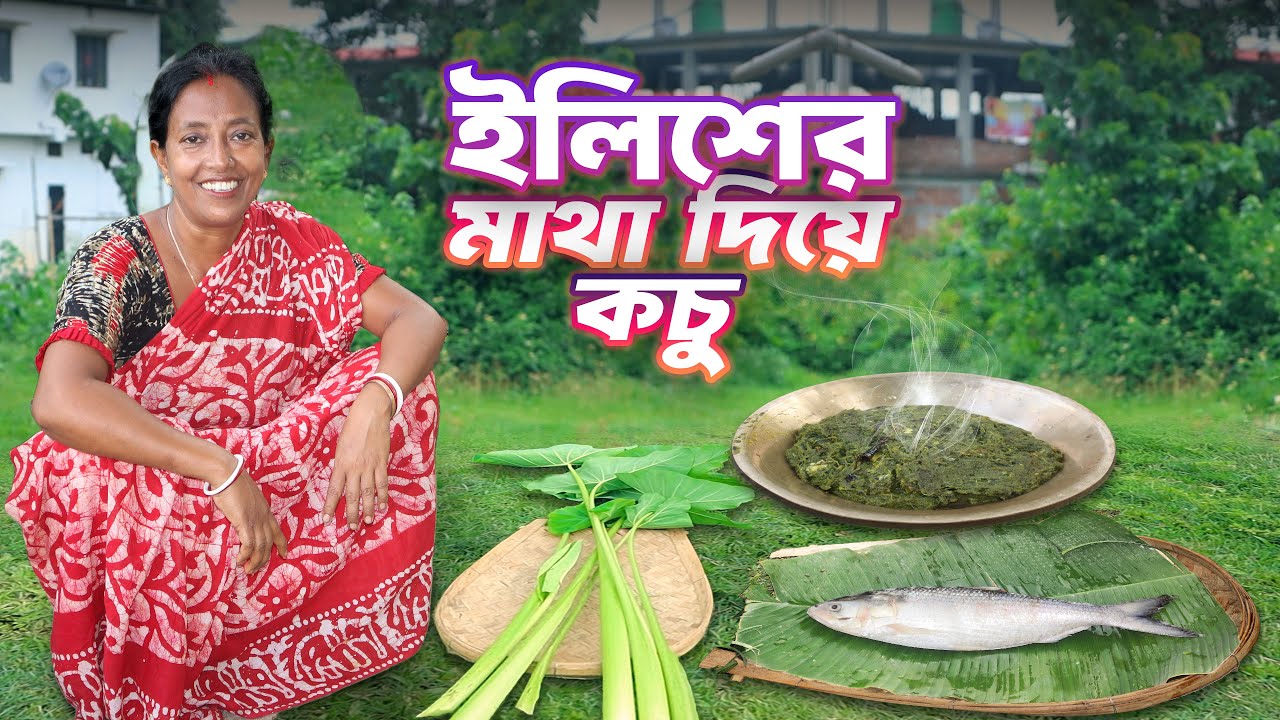 মাঠ থেকে কচু শাক কেটে ইলিশ মাছের মাথা দিয়ে রাঁধলাম | Ilish macher matha diye kochu shak
