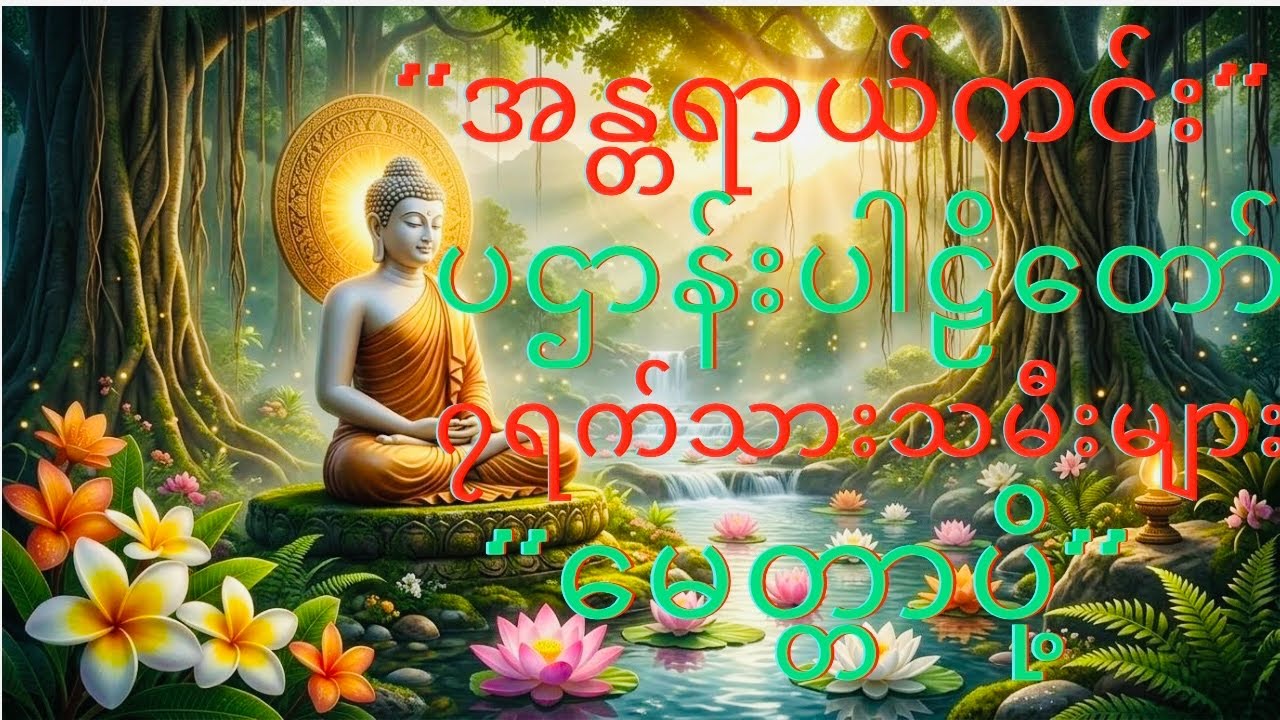 ☸️ပဌာန်းပါဠိတော်မေတ္တာပို့☸️” ၇ရက်သားသမီးများမေတ္တာပို့” အန္တာရယ်ကင်း ပဌာန်းပါဠိတော်🌻🌻🌻