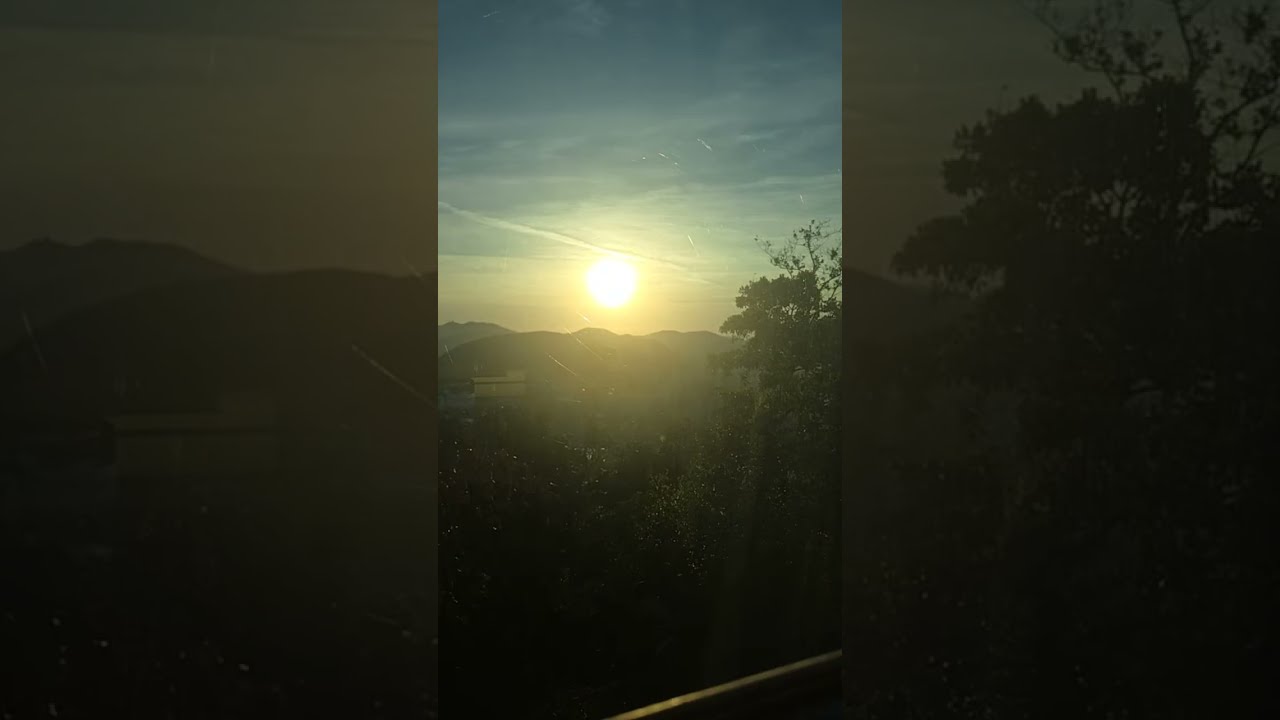 SUNNY MORNING