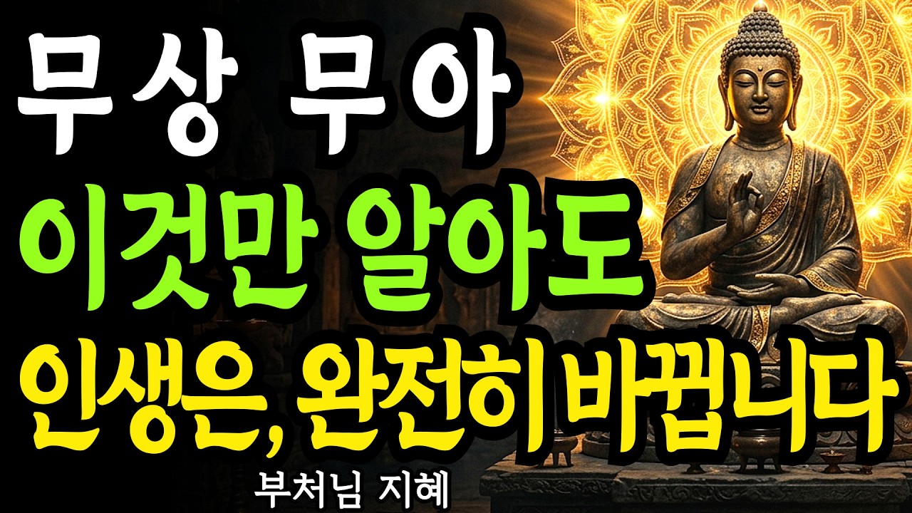 무상 무아 이걸 깨달으면 인생은 완전히 바뀝니다 | 부처님 말씀 | 석가모니 가르침