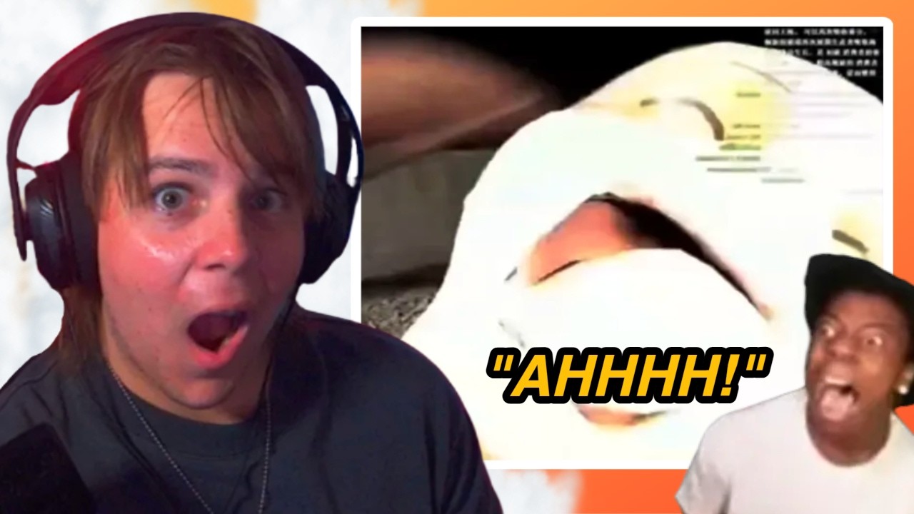 FUNNIEST JUMPSCARE REACTIONS (very funny)