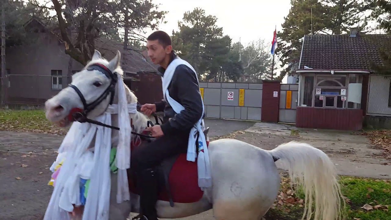 Bozic 2018 RUMA