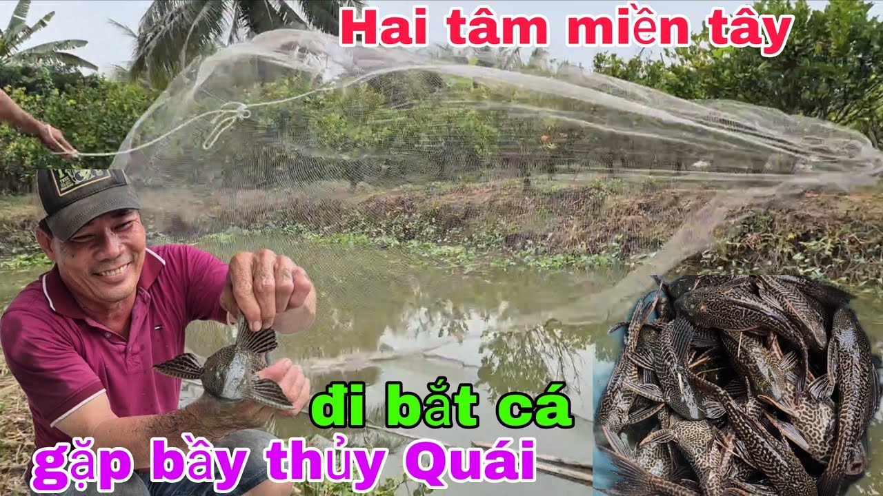 Hai tâm miền tây  đi bắt cá đụng phải ổ thủy quái bỏ chạy không kịp. 