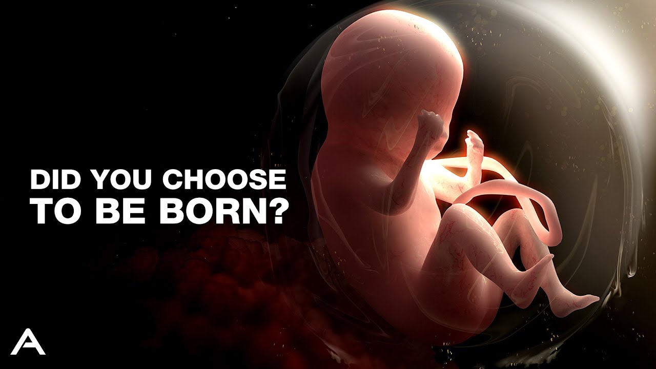 Anti-Natalism: The Argument To Stop Giving Birth