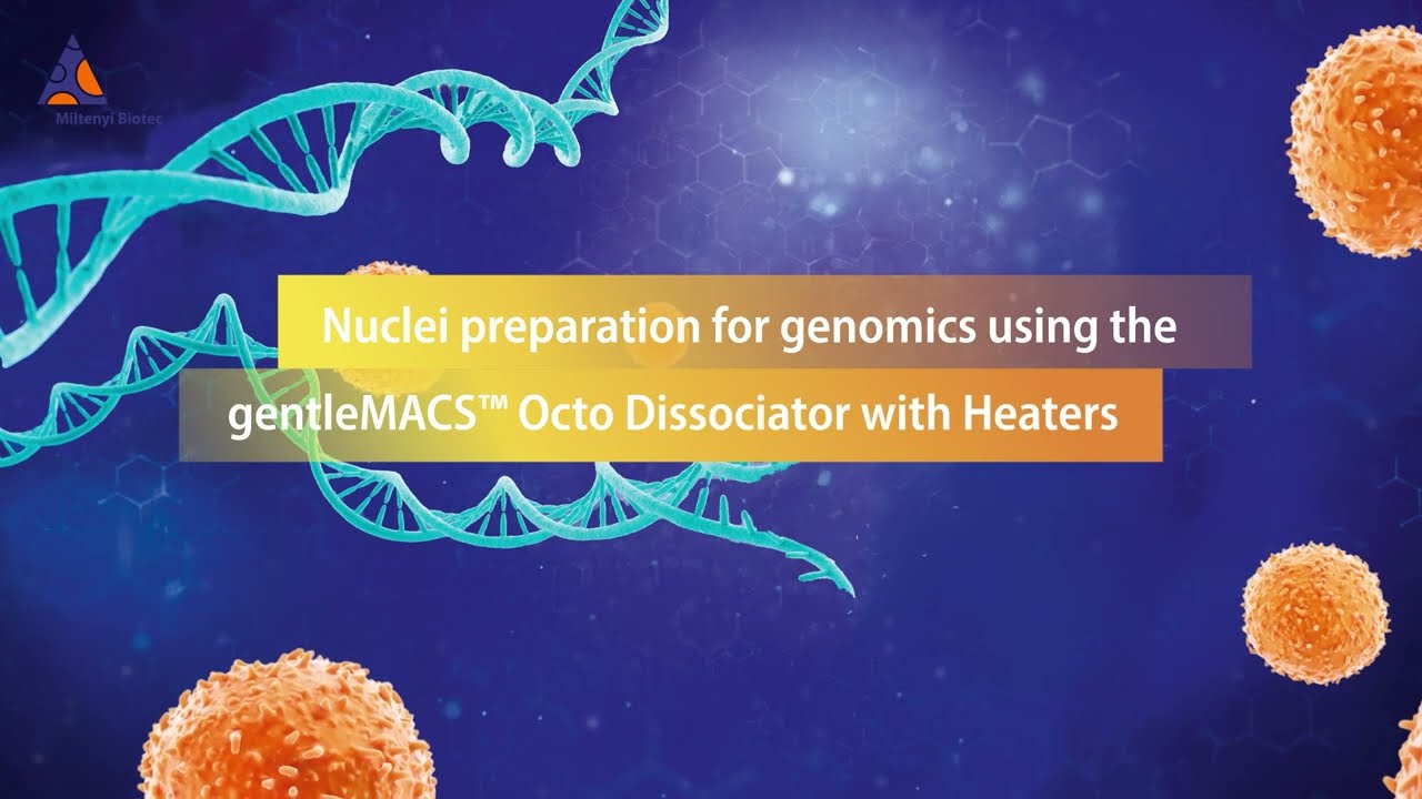 Nuclei preparation for genomics using the gentleMACS™ Octo Dissociator with Heaters