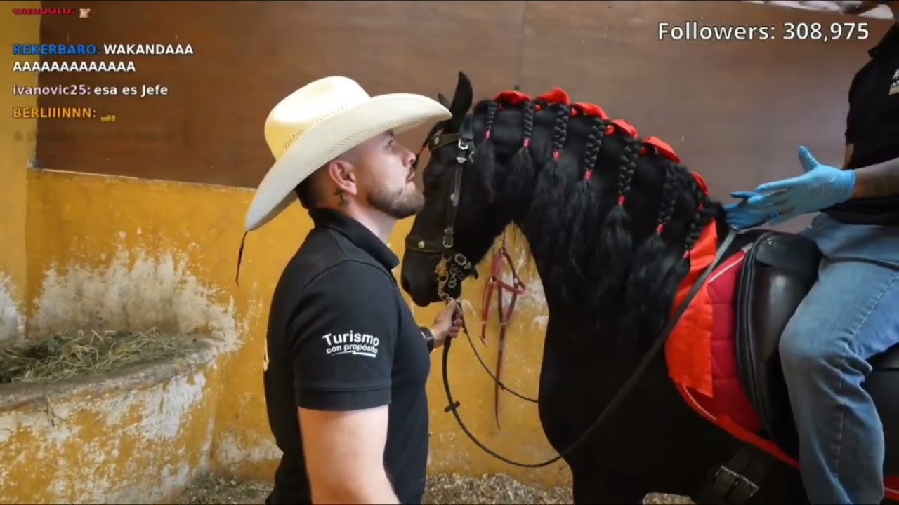 Ismael Sánchez Clips - Montando a caballo en el zoológico 