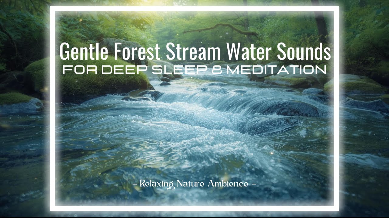 Gentle Forest Stream Water Sounds for Deep Sleep & Meditation–Relaxing Nature Ambience | White Noise