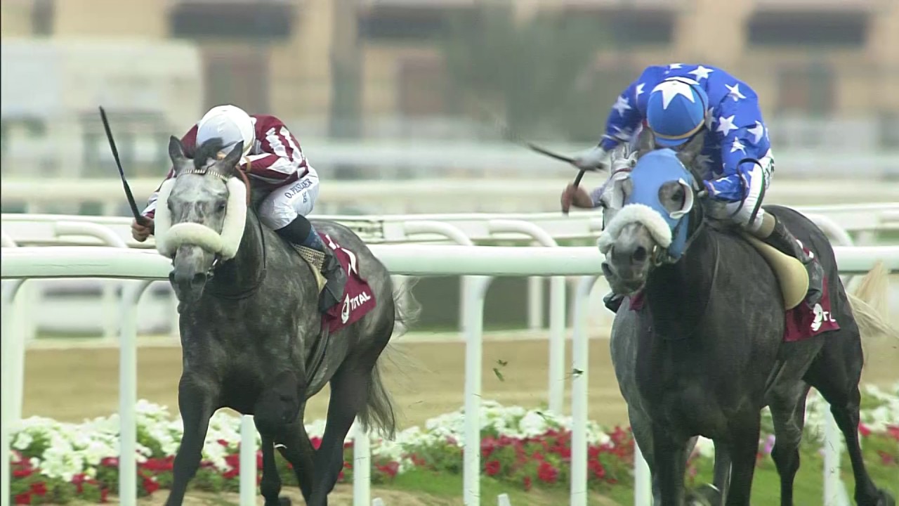 H.H EMIR'S SWORD EBRAZ 2017