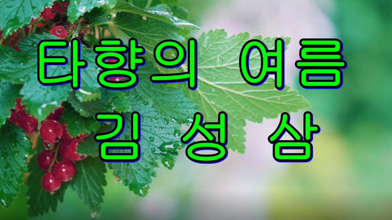 타향의 여름 - 김성삼