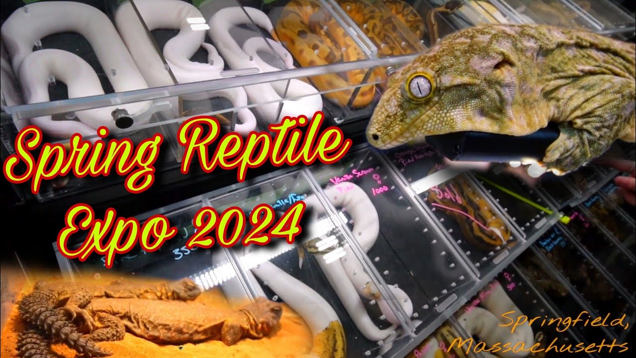 Reptile Expo Spring 2024 - MassMutual Center Springfield Massachusetts