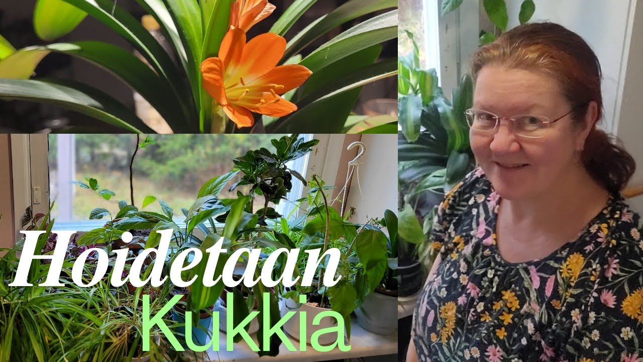 Kukkien ja viherkasvien syyshuolto