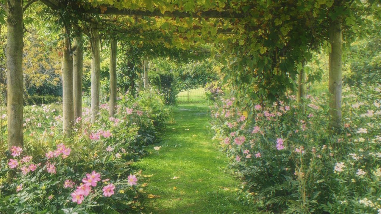 a playlist for a slow, quiet morning🌿 relax your mind to focus in being better
