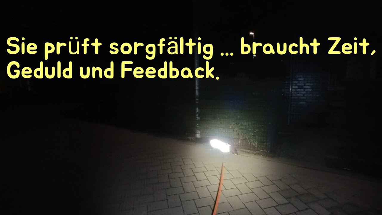 Glühwürmchen trailt - kleine Übung - wachsen an Aufgaben - Erfahrungen sammeln 