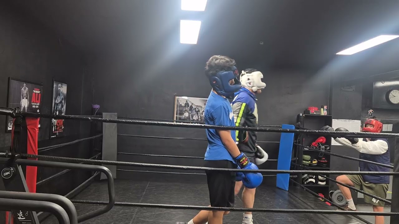 [스트롱복싱개봉점] 최재석 회원님(흰) vs 안세훈 회원님(홍) vs 강재엽 회원님(청) 26.2.11