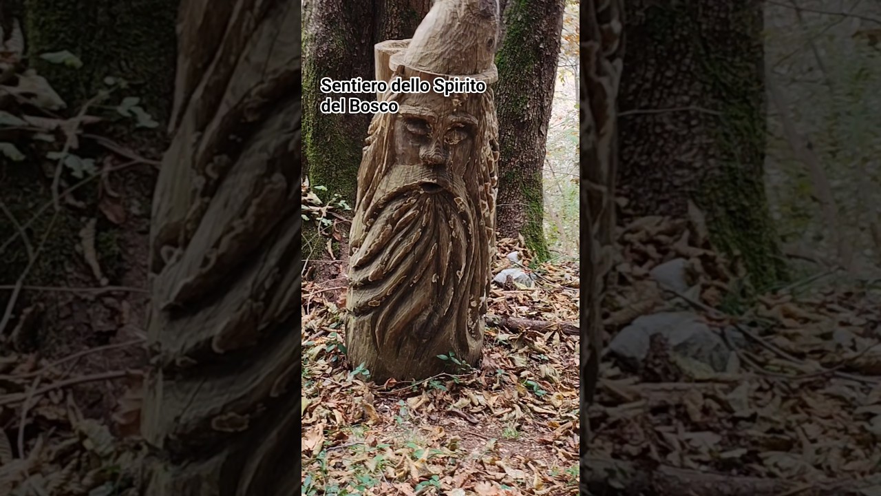 Sentiero dello Spirito del Bosco Wooden Arts #italy #travel #art #indianvlogger  #trending