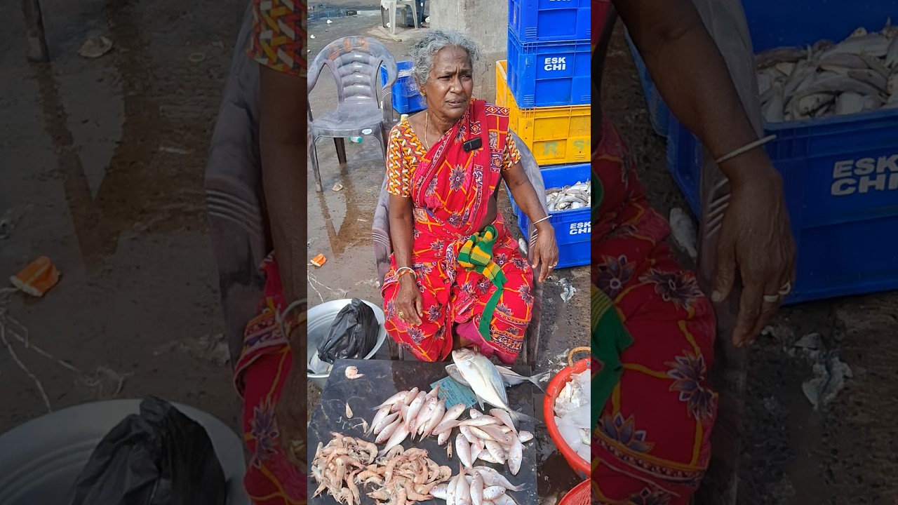 💥🐠 Kasimedu Sankara Fish low rate | Kasimedu fish market #redsnapperfish #fish #trending #shorts