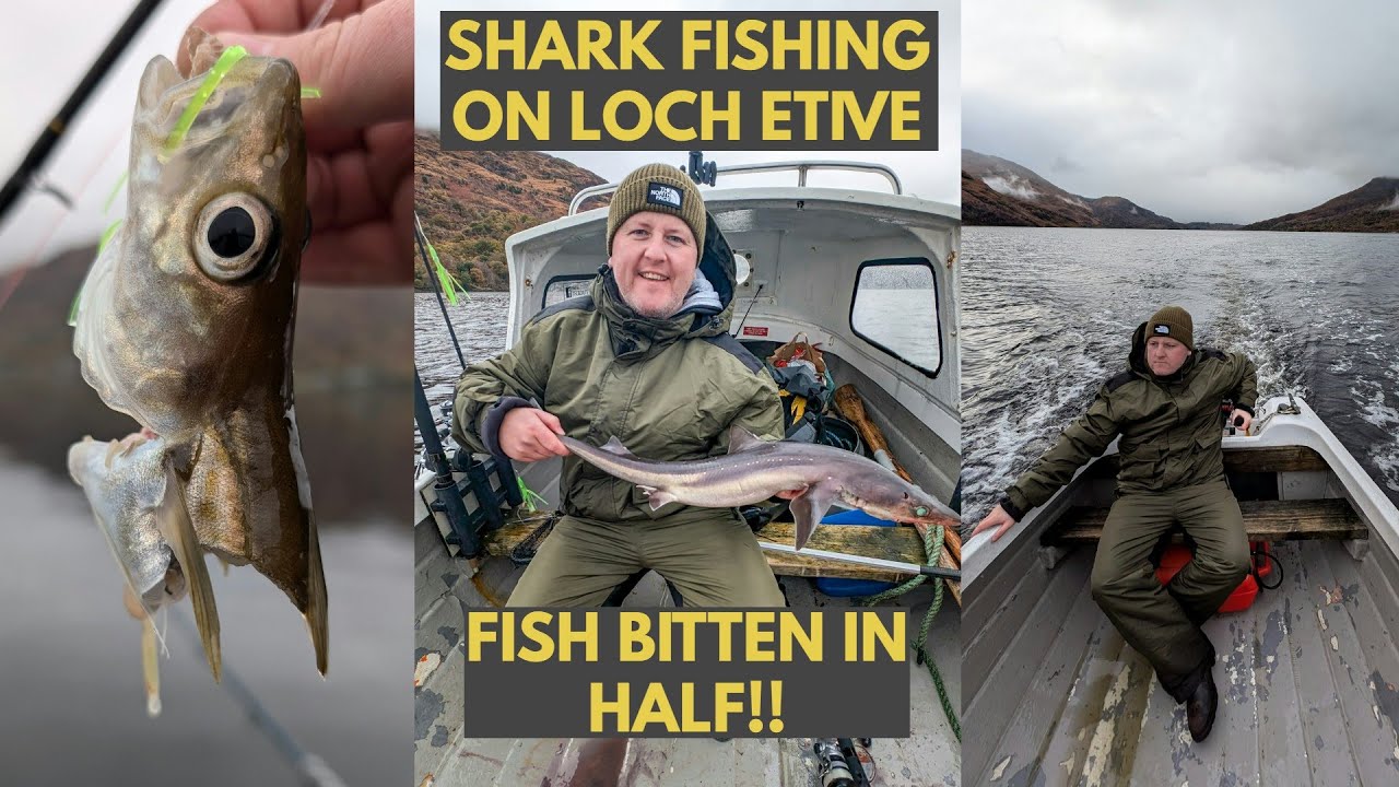 Shark Fishing Adventure on Loch Etive | Scotland's Stunning Waters