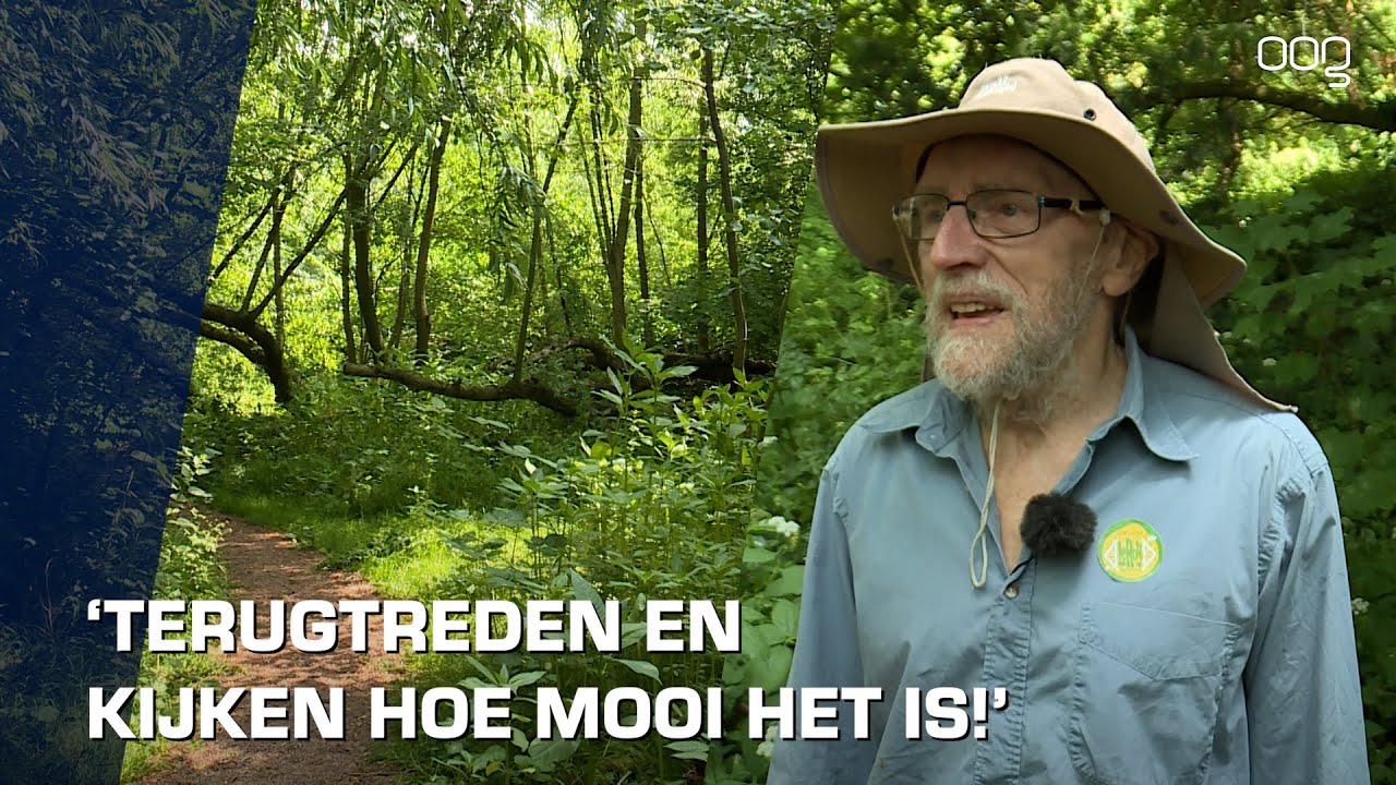 LeRoy gebied in Lewenborg: al 50 jaar kan de natuur er zijn gang gaan