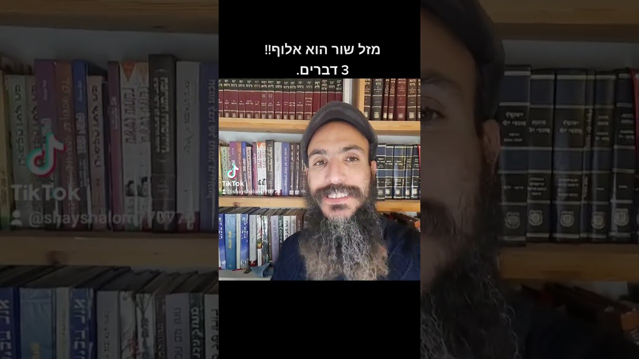 מזל שור הוא אלוף!! 3 דברים.