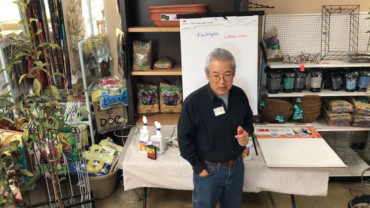 GROWING APPLES AND PEARS | LIVESTREAM