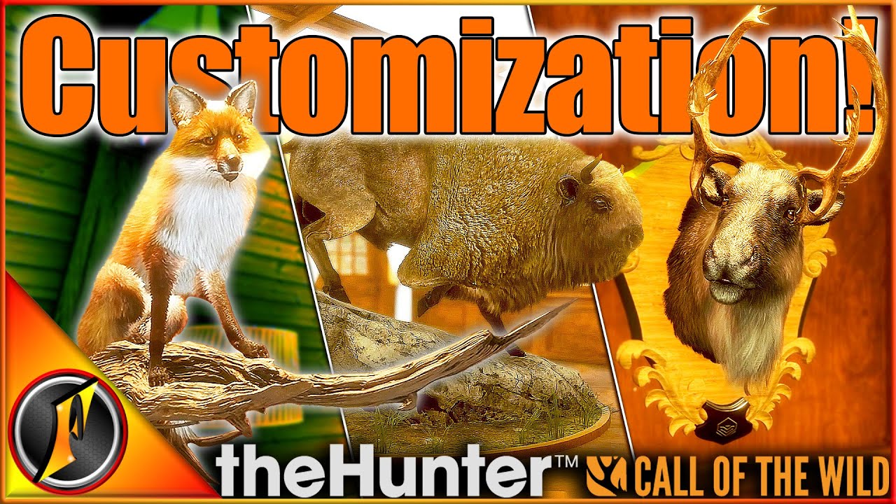 Это дополнение Trophy Lodge выглядит ПОТРЯСАЮЩЕ! | theHunter Call of the Wild