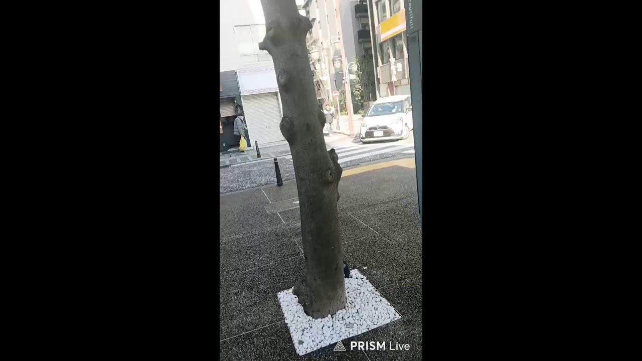 横須賀散策