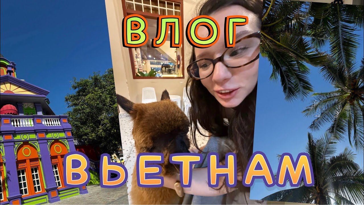ВЛОГ ВЬЕТНАМ НЯЧАНГ | vinwonders, альпаки, еда, горячие источники