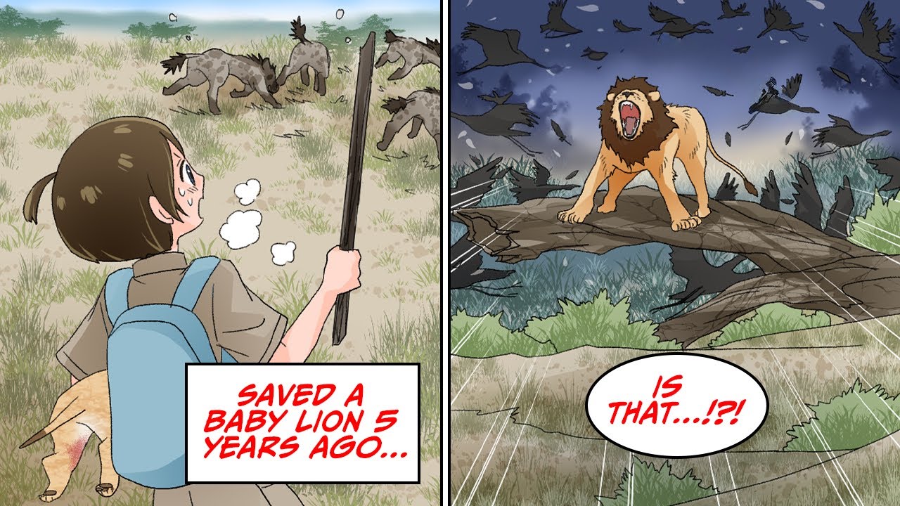 Saved a lion, but then... [Manga Dub]