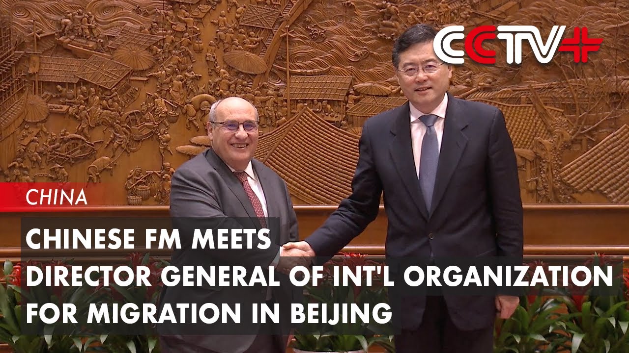 Chinese Foreign Minister Meets Director General of Int'L Organization for Migration in Beijing
