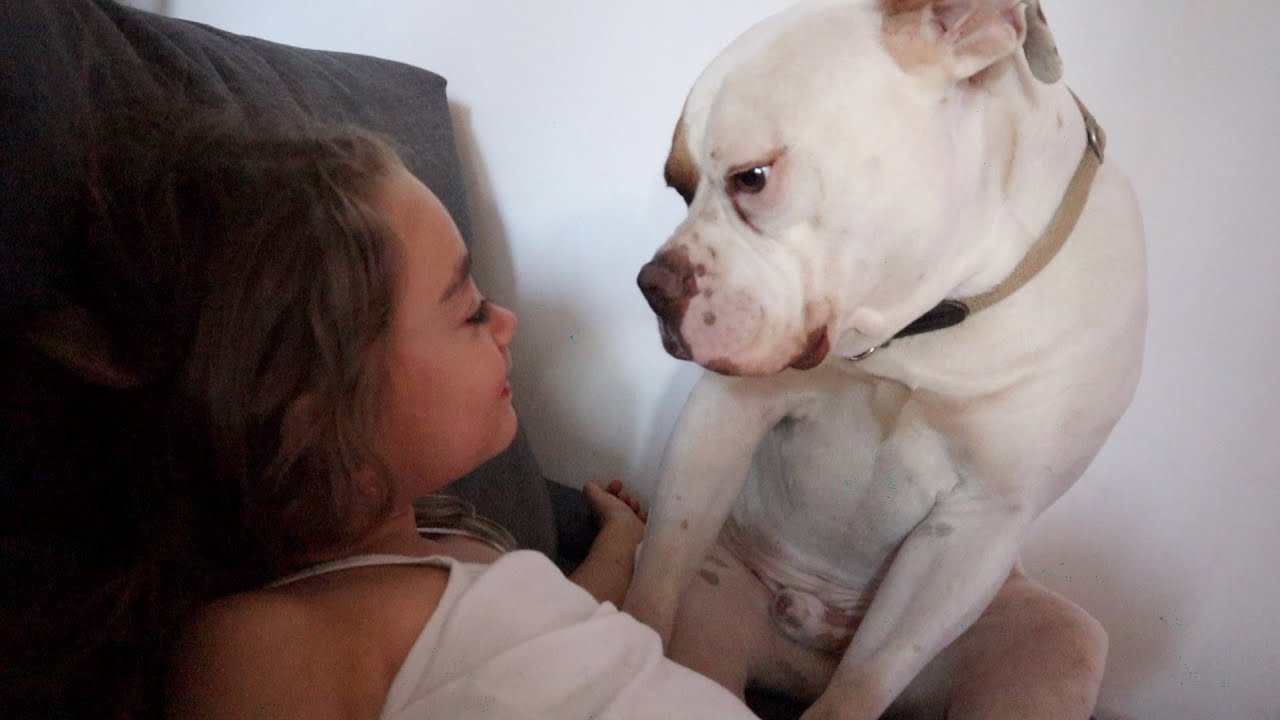 GIORNATA DI COCCOLE E BRUTTE NOTIZIE / chiara paradisi