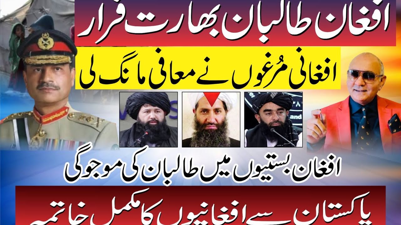 افغان طالبان بھارت فرار !معافیاں شروع ! افغان بستیاں ! بڑا تہلکہ