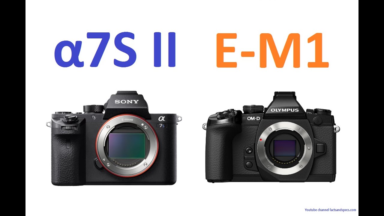 SONY &alpha;7S II vs OLYMPUS OM-D E-M1