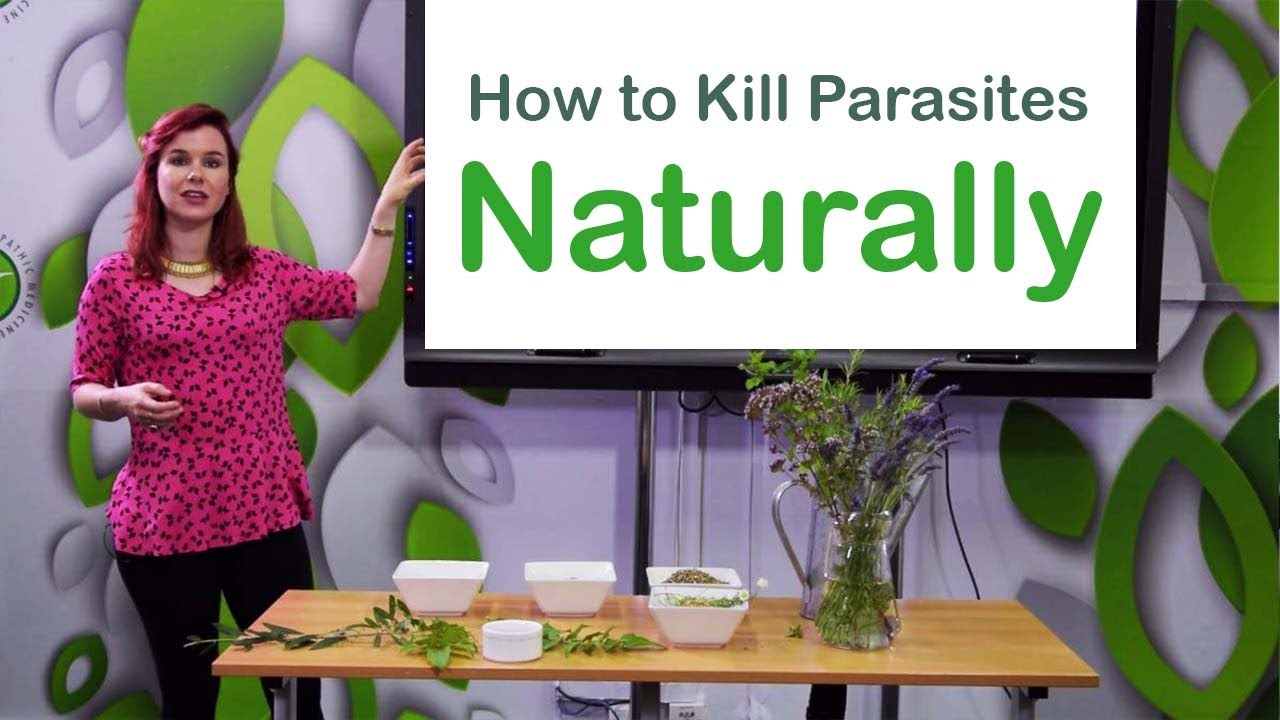 How to Kill Parasites Naturally