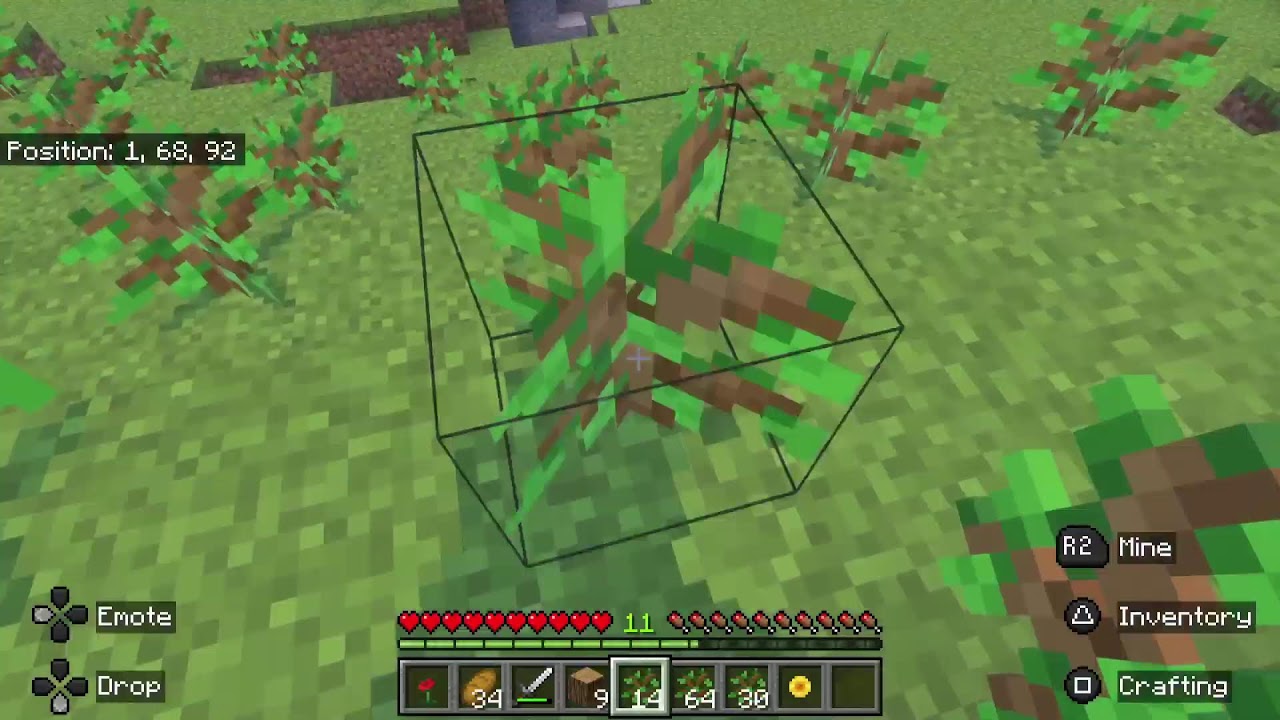 Minecraft