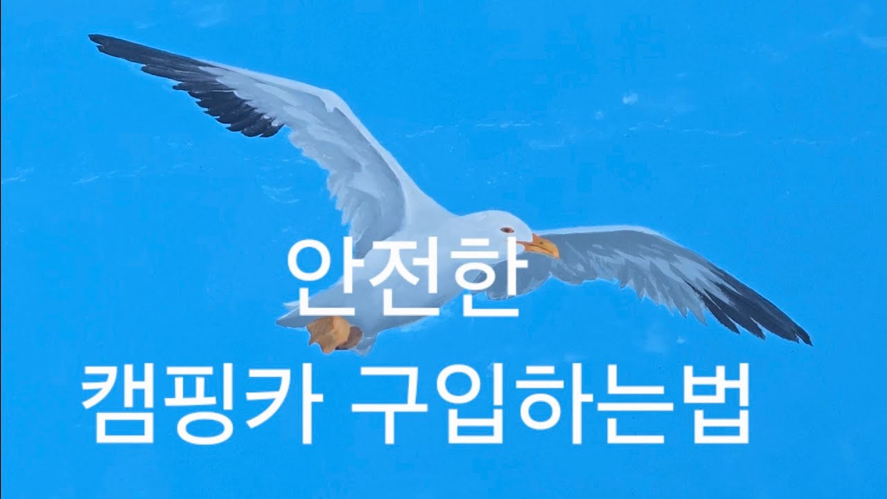 캠핑카구입요령#은퇴캠핑#캠핑카 여행#차박ㆍ캠핑카#캠핑캉제작#소형캠핑카#중고캠핑카#카운티