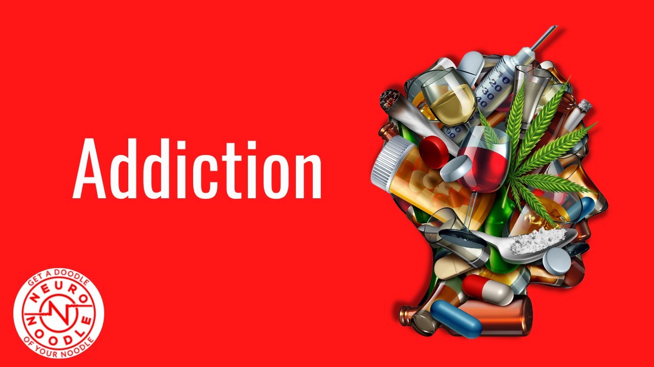 Addiction Phenotypes
