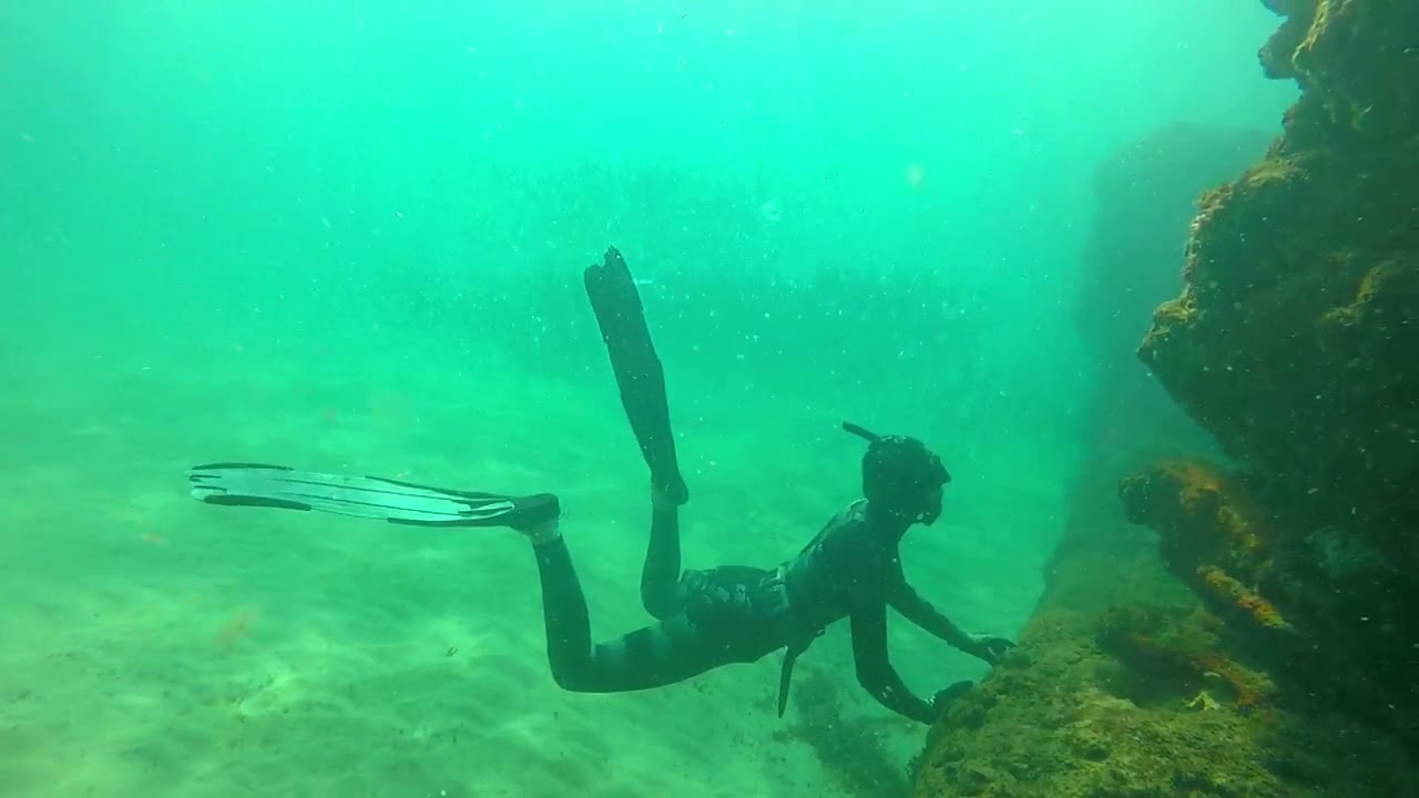 Big Bream Freediving/spearfishing with Tori