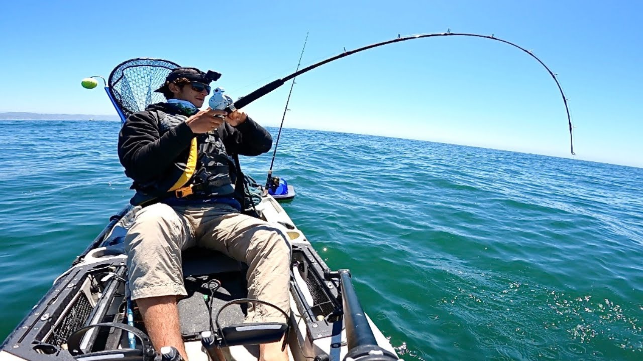Ocean Halibut, Lingcod, Shark and Rockfish (a lot) in One Kayak Trip