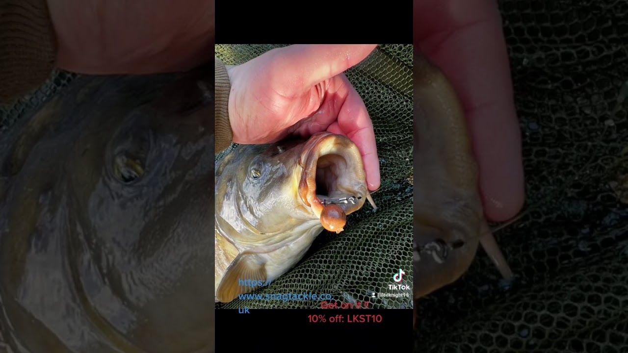 Best end Tackle SNAGTACKLE🔥 #carpfishing #bigcarp #carp #delkim #diawa #bigcarpfishing #fisherman