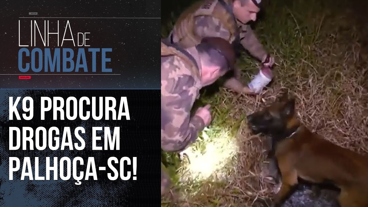 TRÁFICO EM SANTA CATARINA: DROGAS ENCONTRADA EM REGIÃO PERIGOSA DE PALHOÇA! | LINHA DE COMBATE