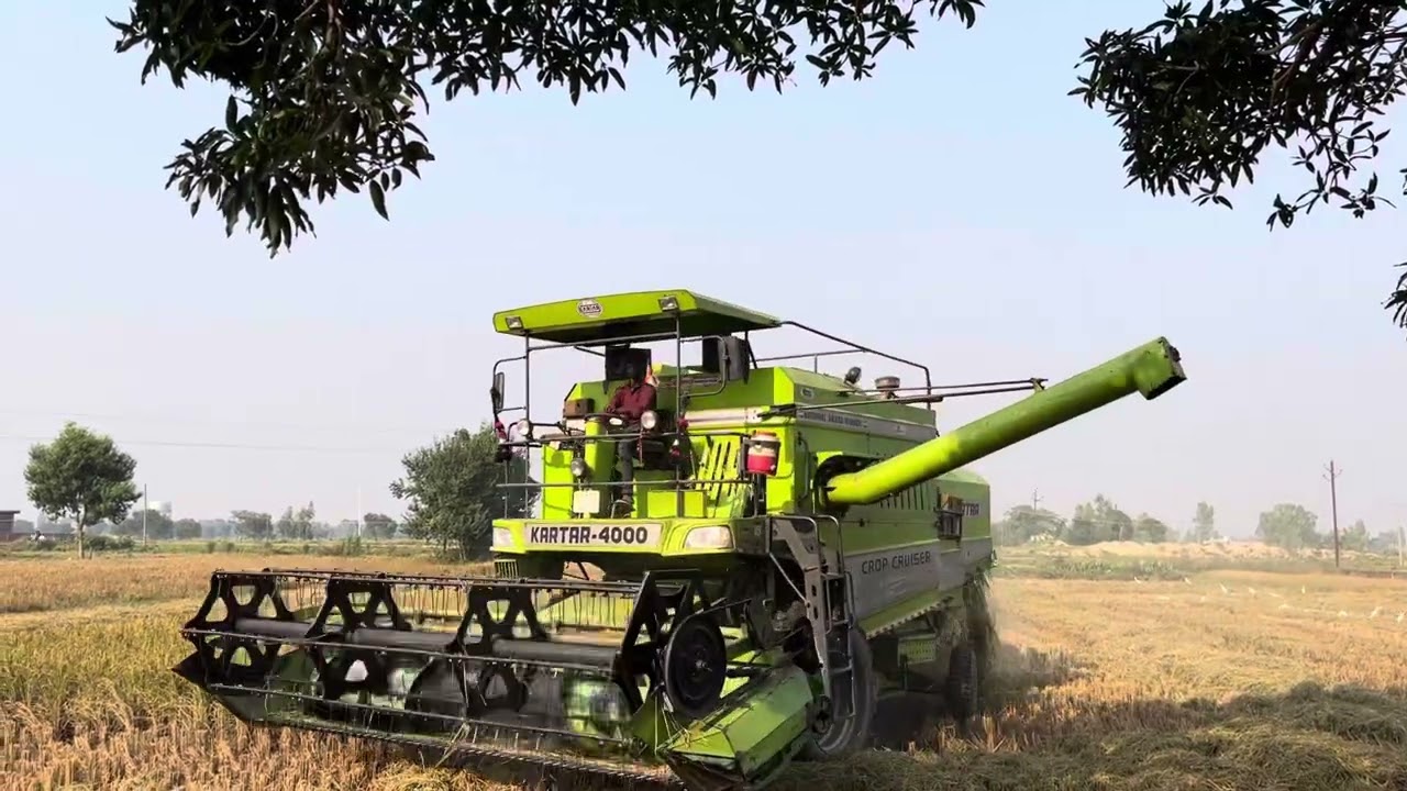 new combine ki katai 🌾 #harvester #agriculture #farming 