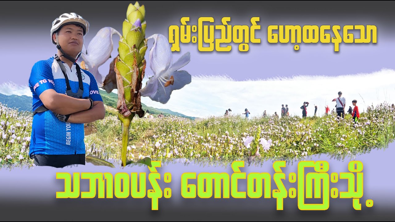 ခုတလော ရှမ်းပြည်တွင် ဟော့နေတဲ့ သဘာဝပန်းတောင်တန်းကြီး၊ နန်းလုံဟွမ်