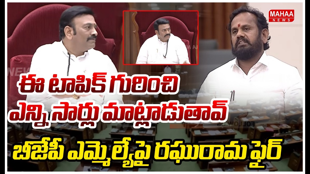 ఈ టాపిక్ గురించి ఎన్ని సార్లు మాట్లాడుతావ్..బీజేపీ ఎమ్మెల్యేపై రఘురామ ఫైర్ | Speaker Fire On BJP MLA