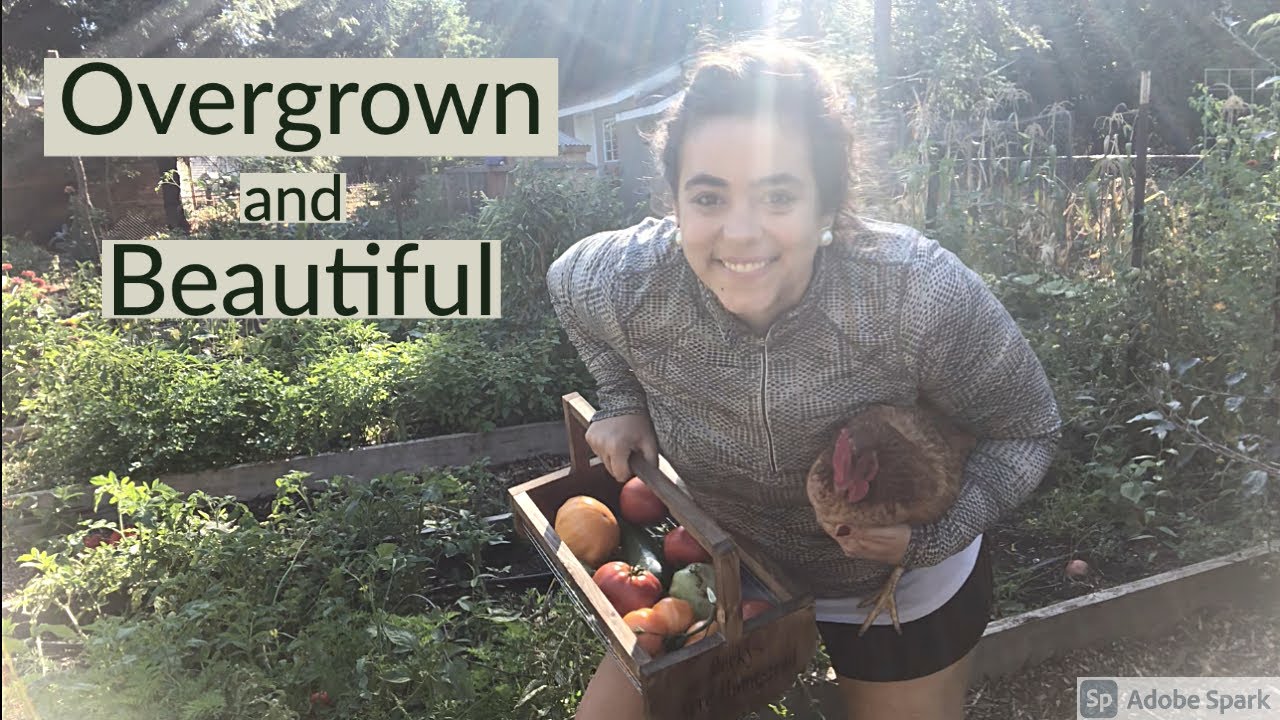 First Fall Garden Tour | September 2021