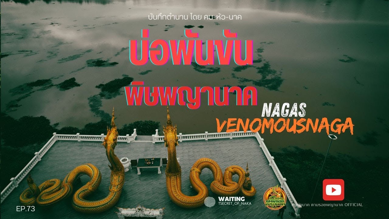 คน หัว นาค ตามรอยพญานาค EP.73 บ่อพันขัน พิษพญานาค NAGAS VENOMOUS