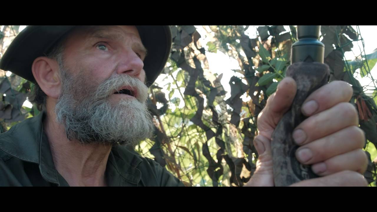 eduard ganzen en onwijze wetten